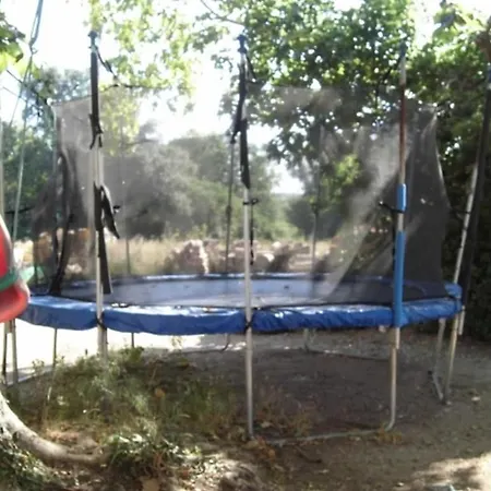 In With Swimming Pool *